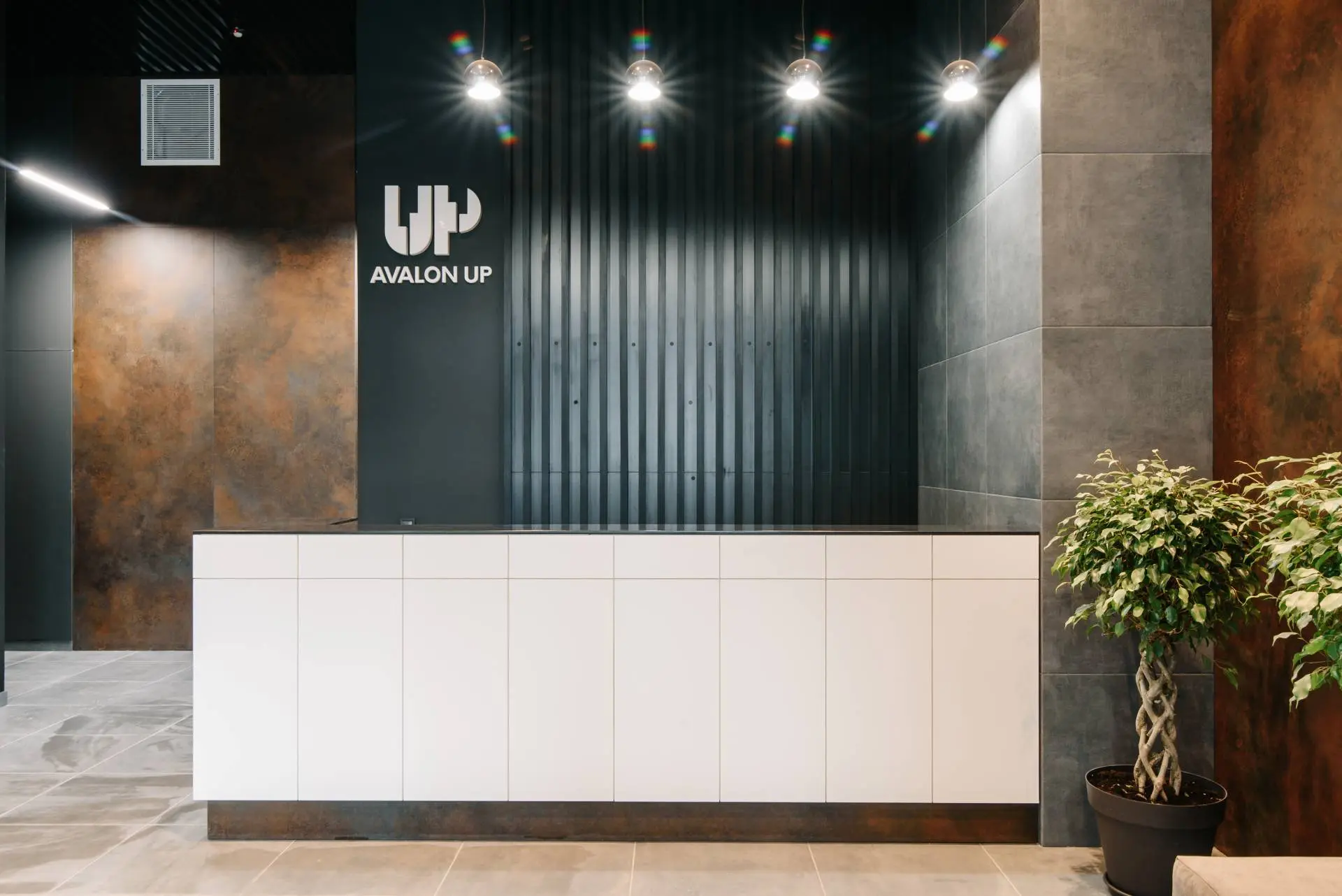 Інфраструктура Avalon Up