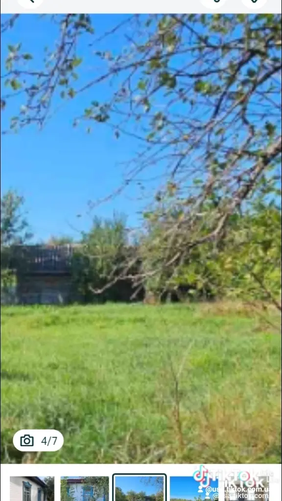 Олена Поліщук