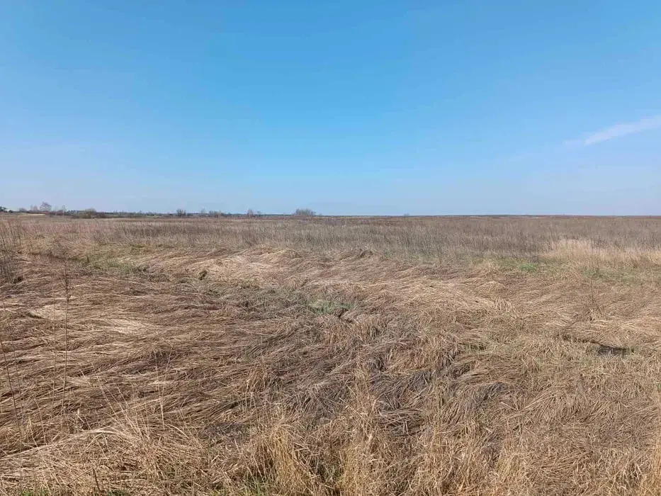 Роман Базильчук