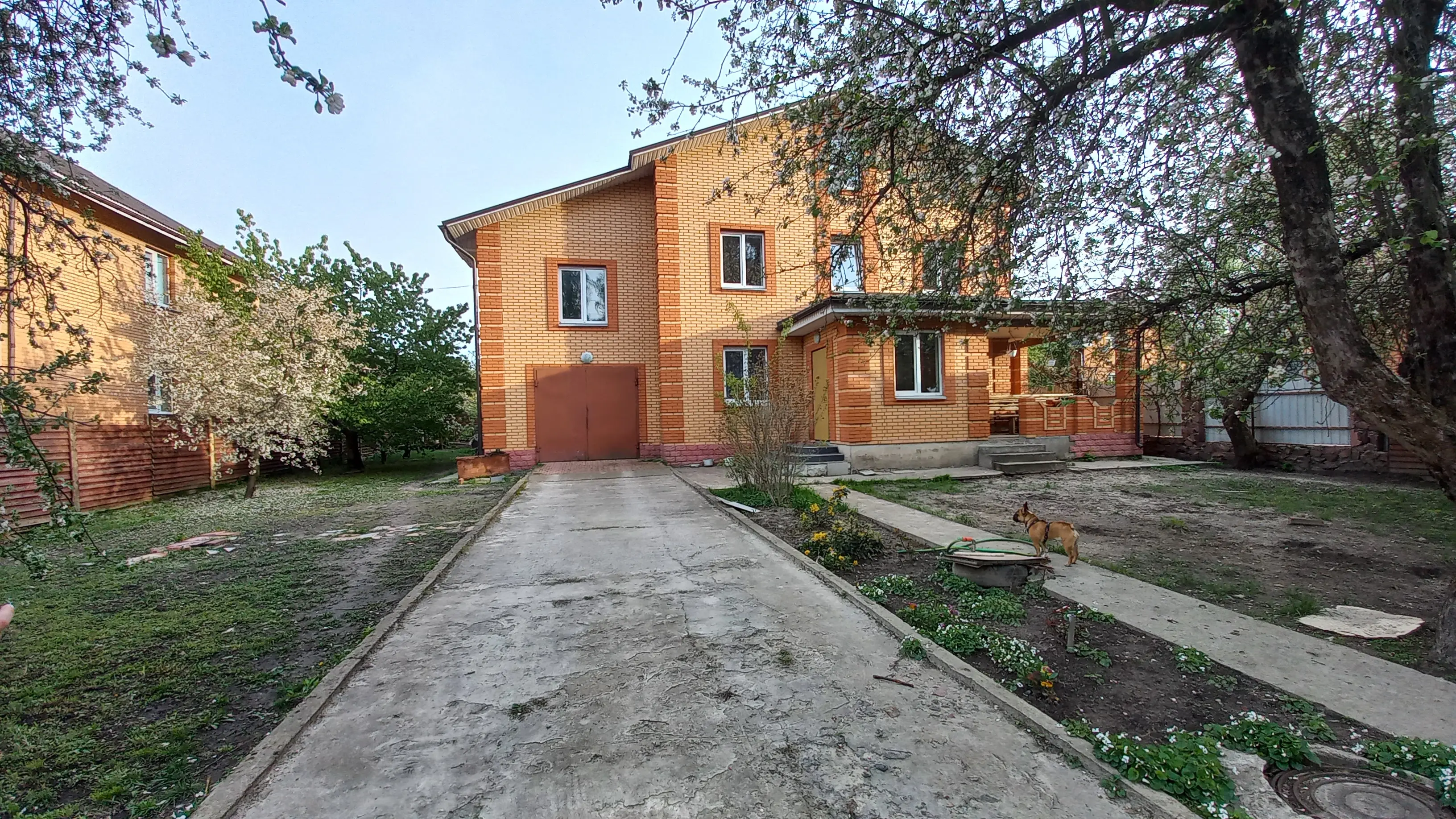 Фото Продаю дом, 300 кв. м, Старі Петрівці, цена: 165000 $, код 79