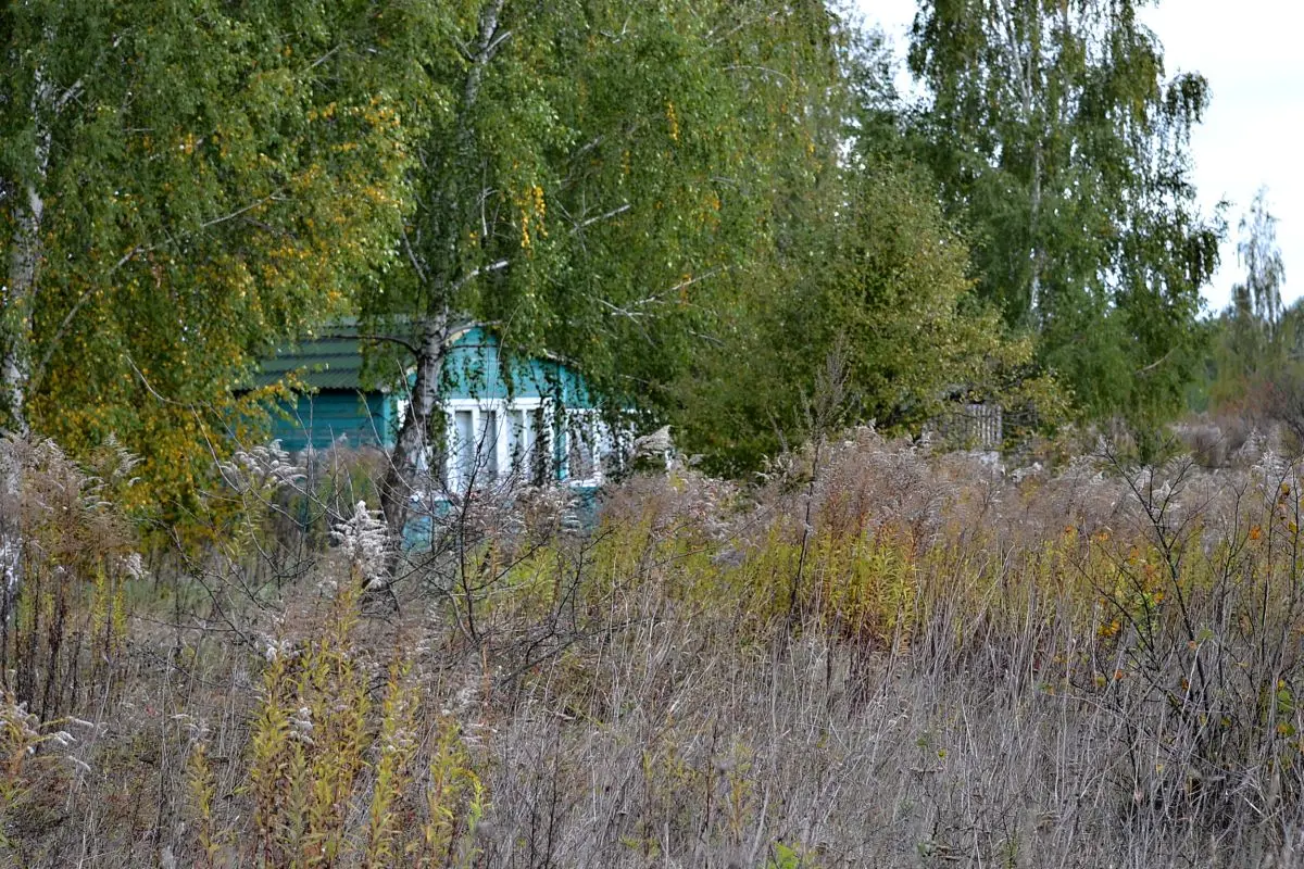 Фото Selling a land plot, Boryspil, price: 45000 UAH, code 148