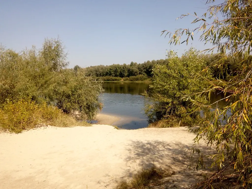Фото Selling a land plot, Vehovska street  Pukhivka, price: 30000 $, code 1116