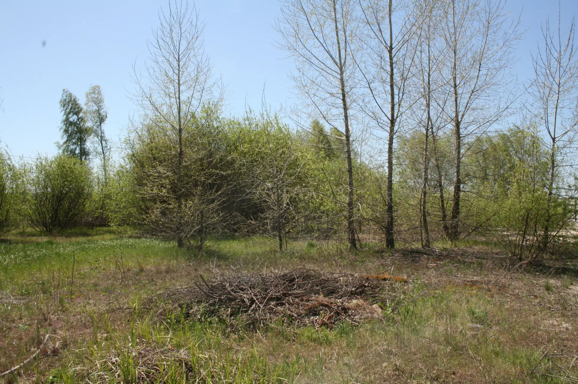 Фото Selling a land plot, Stari Bezradychi, price: 38000 $, code 1334