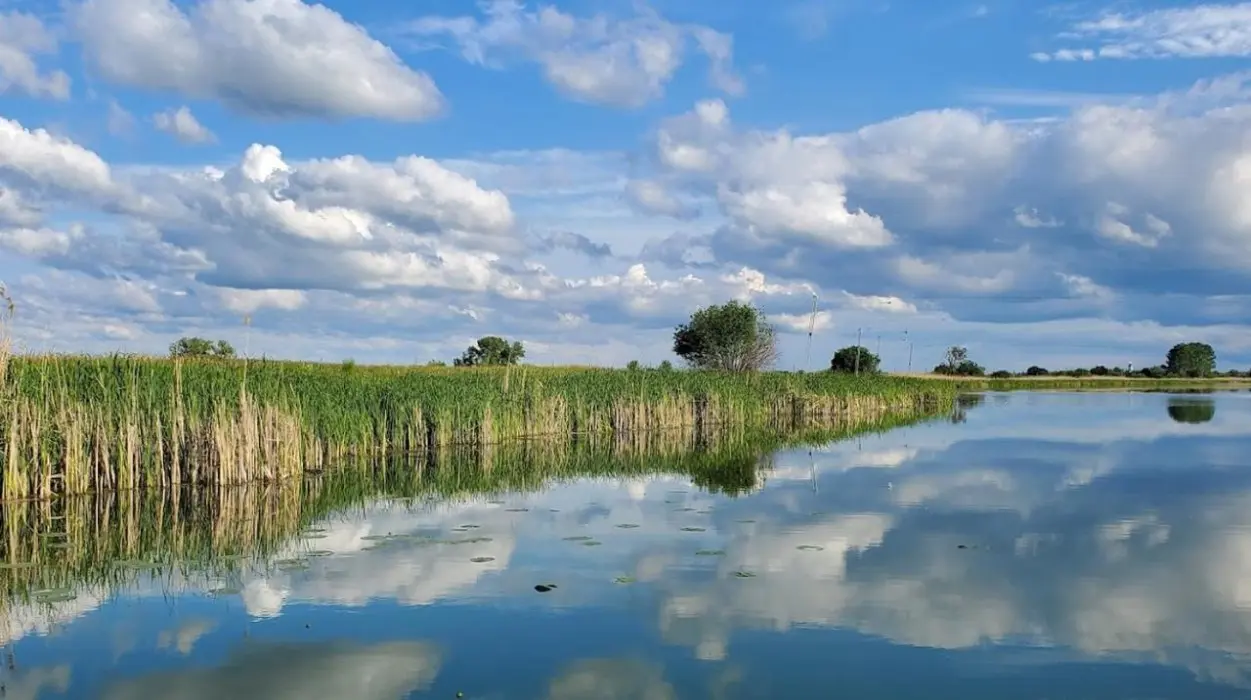 Фото Продаю земельну ділянку, Центральна вул.  Київ, ціна: 26000 $, код 1344