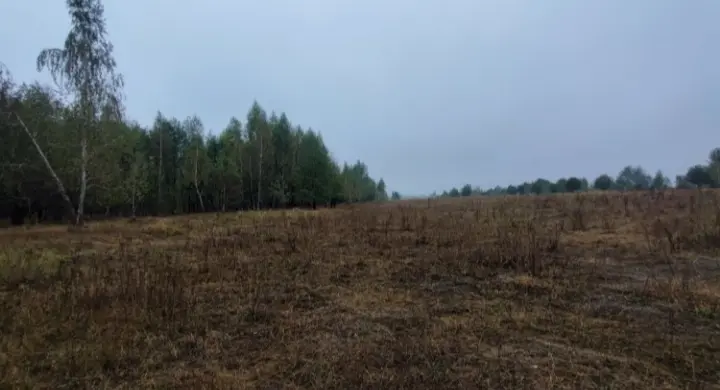 Фото Selling a land plot, Mykulychi, price: 18000 $, code 1387