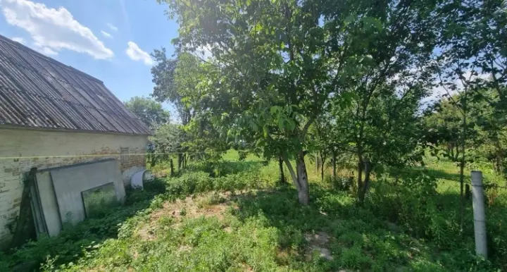 Фото Selling a land plot, Khutirska Street  Mykulychi, price: 8000 $, code 1389