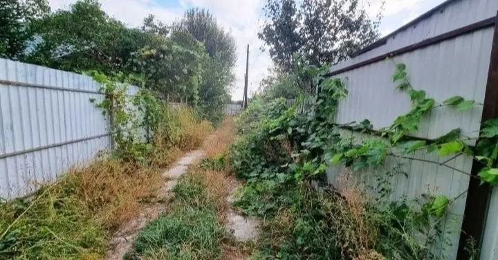 Фото Selling a land plot, Severynivska street  Irpin, price: 51000 $, code 1400