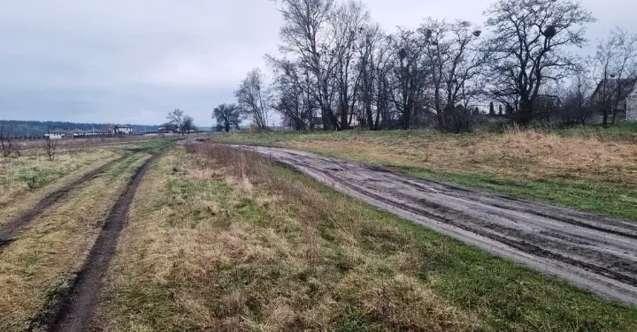 Фото Selling a land plot, Mykhailivka-Rubezhivka, price: 11000 $, code 1407