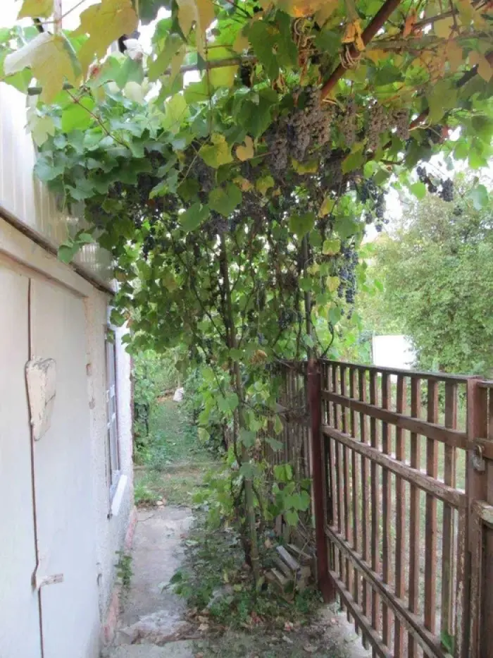 Фото Selling a land plot, 58th Sadova Street  Kyiv, price: 43000 $, code 1420