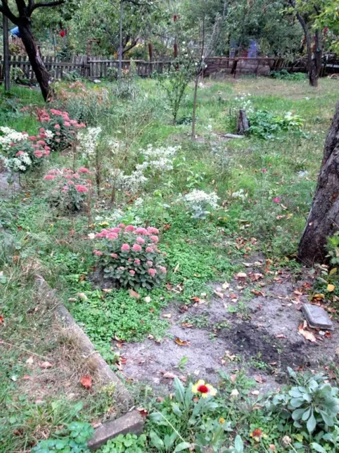Фото Selling a land plot, 58th Sadova Street  Kyiv, price: 43000 $, code 1420