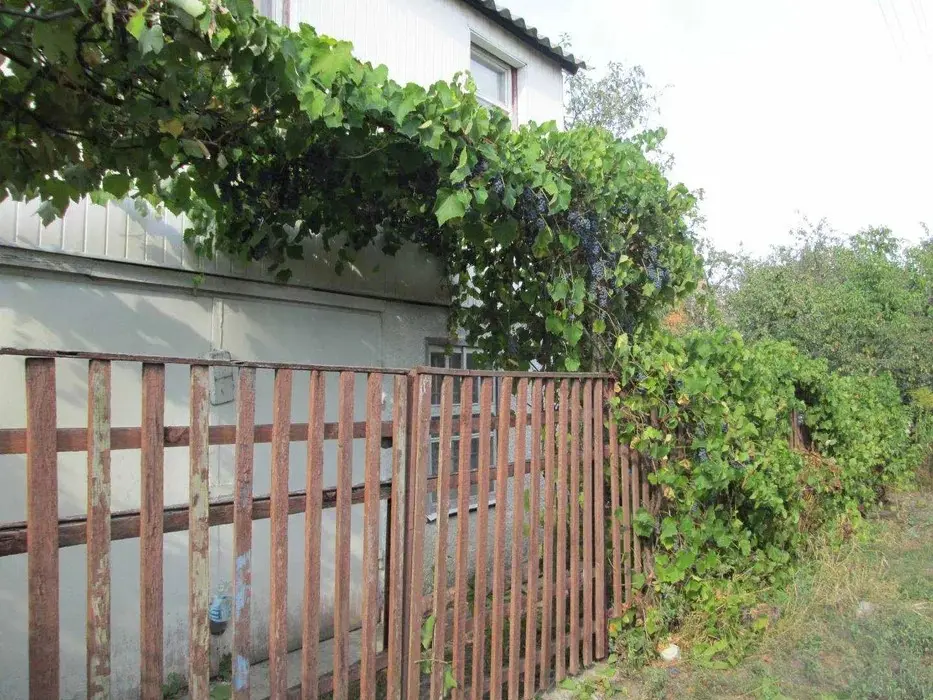 Фото Selling a land plot, 58th Sadova Street  Kyiv, price: 43000 $, code 1420