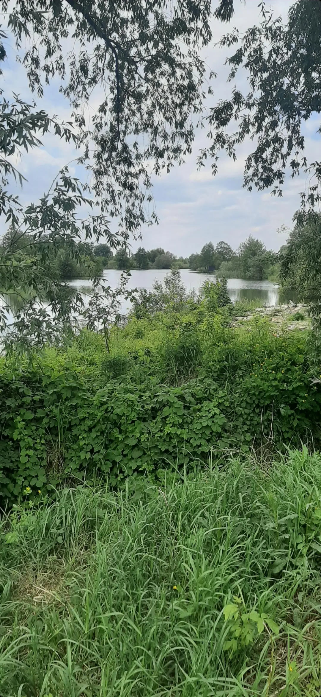 Фото Продаю земельный участок, Лермонтова ул.  Киев, цена: 15000 $, код 1480