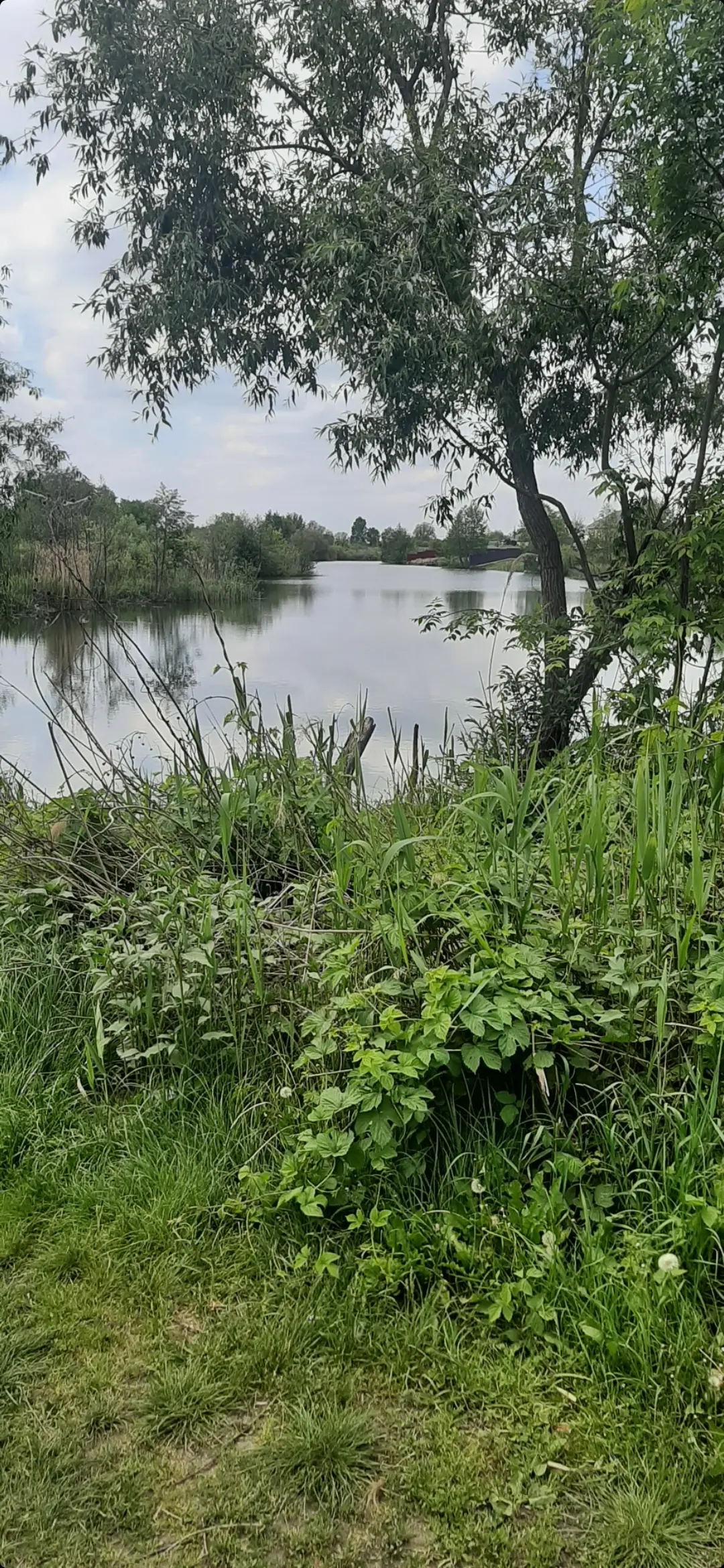Фото Продаю земельный участок, Лермонтова ул.  Киев, цена: 15000 $, код 1480