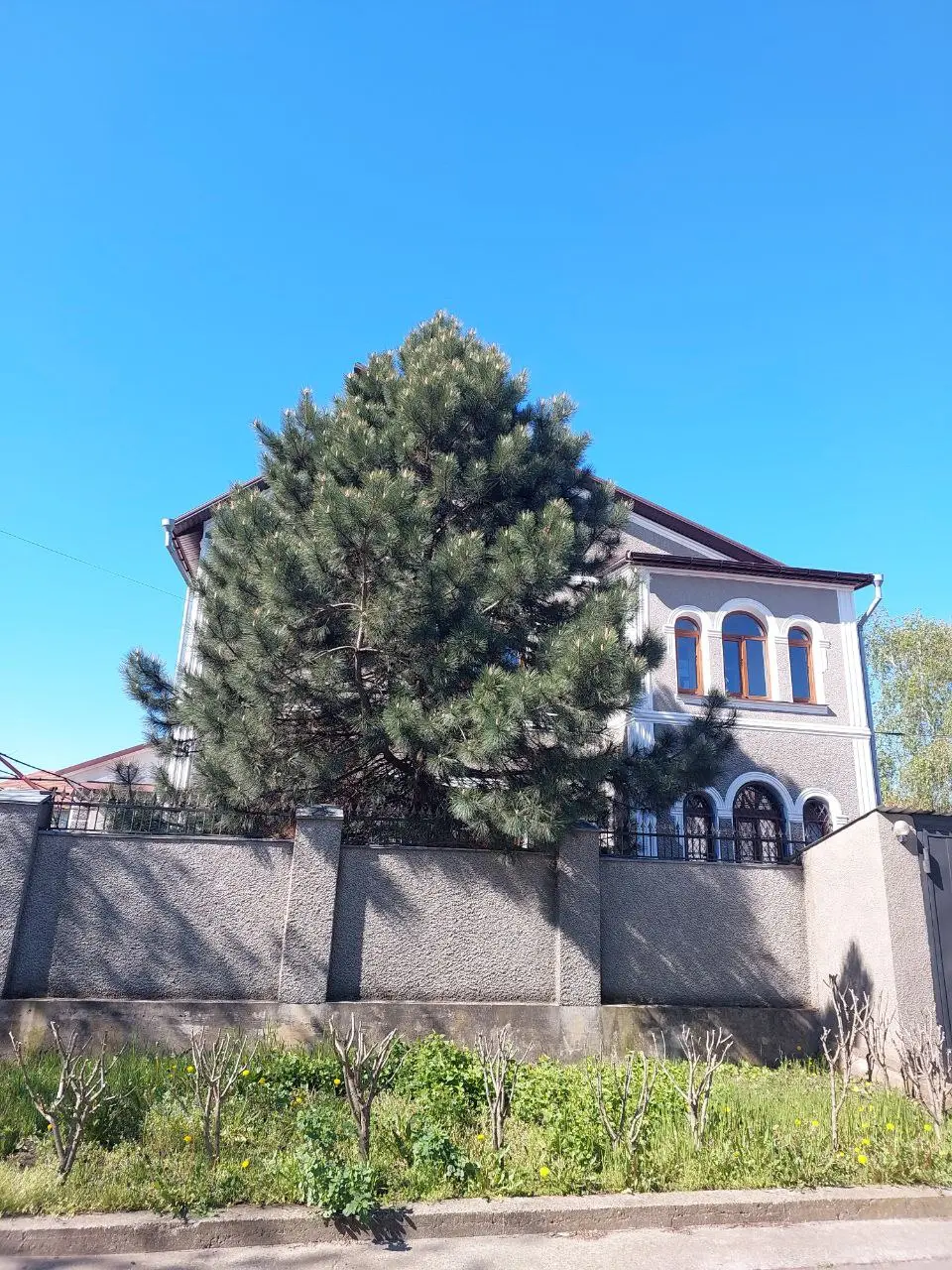 Фото Selling a house, 350 sq.m., Abrykosova Street 107 Odesa, price: 220000 $, code 1529