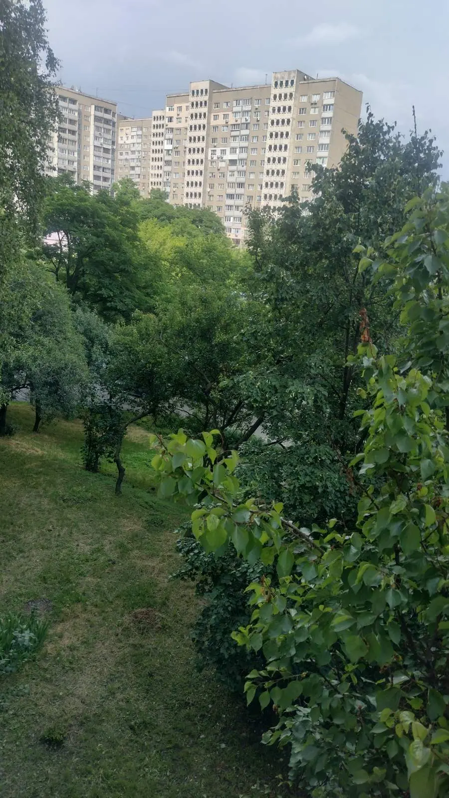 Фото Rent a 1-room apartment, Kvitnevyi Lane 1а Kyiv for long-term rent, price: 10000 UAH, code 1878