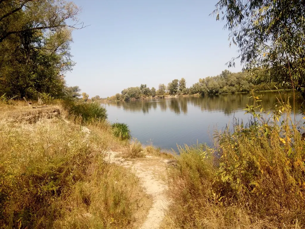 Фото Selling a land plot, Vehovska street  Pukhivka, price: 36000 $, code 1904