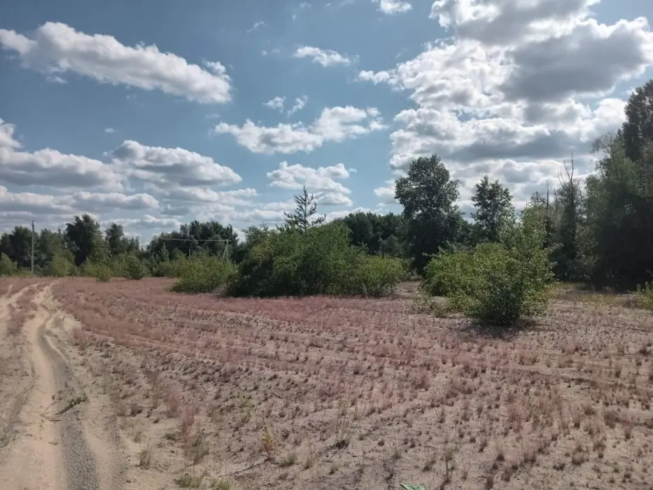 Фото Продаю земельну ділянку, Центральна вул.  Київ, ціна: 84000 $, код 1927