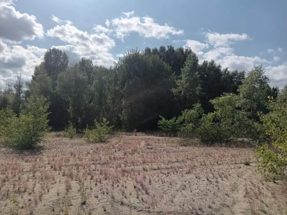 Фото Продаю земельну ділянку, Центральна вул.  Київ, ціна: 84000 $, код 1927