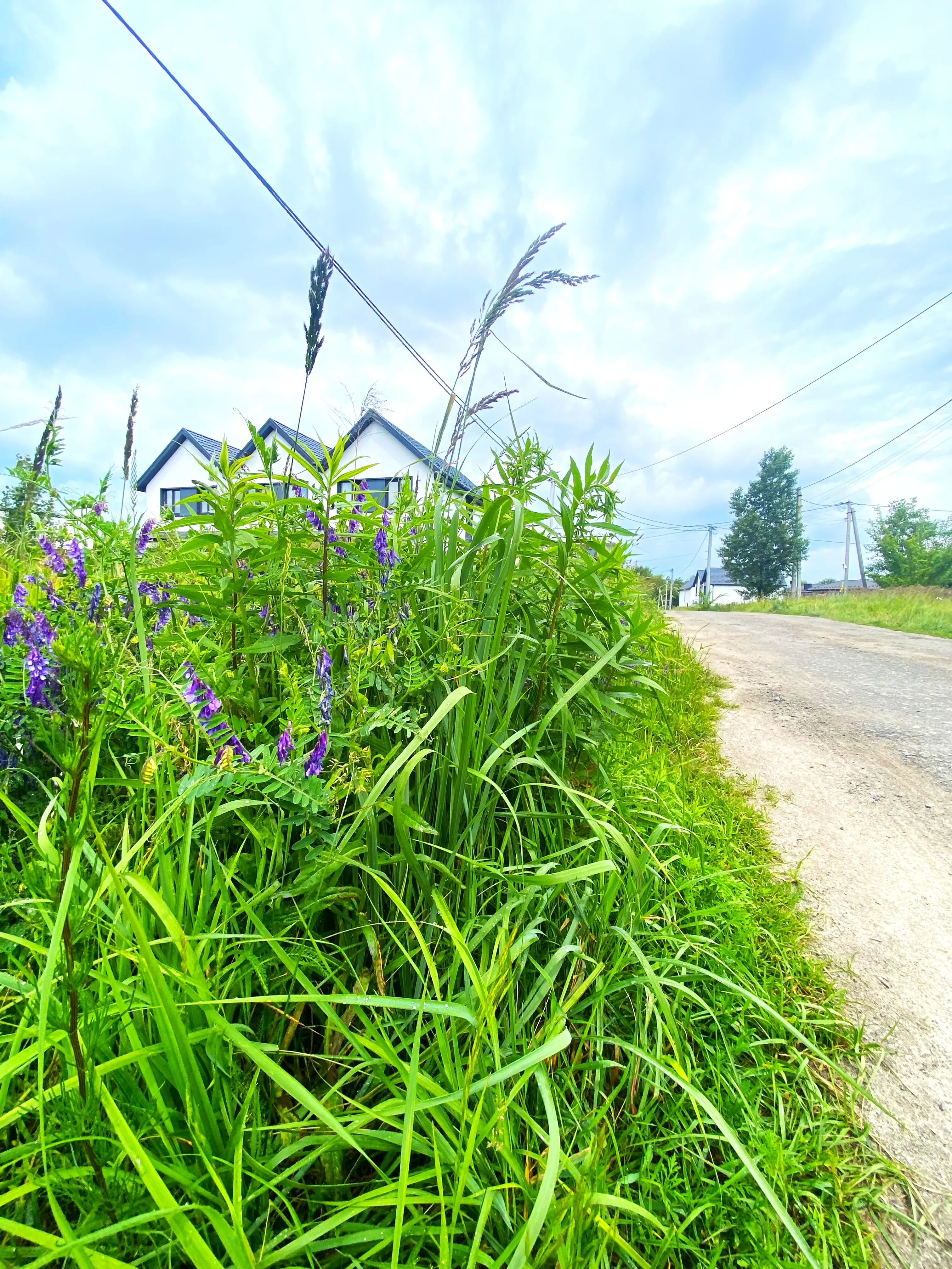 Фото Selling a land plot, Petropavlivska Borschahivka, price: 130000 $, code 1939