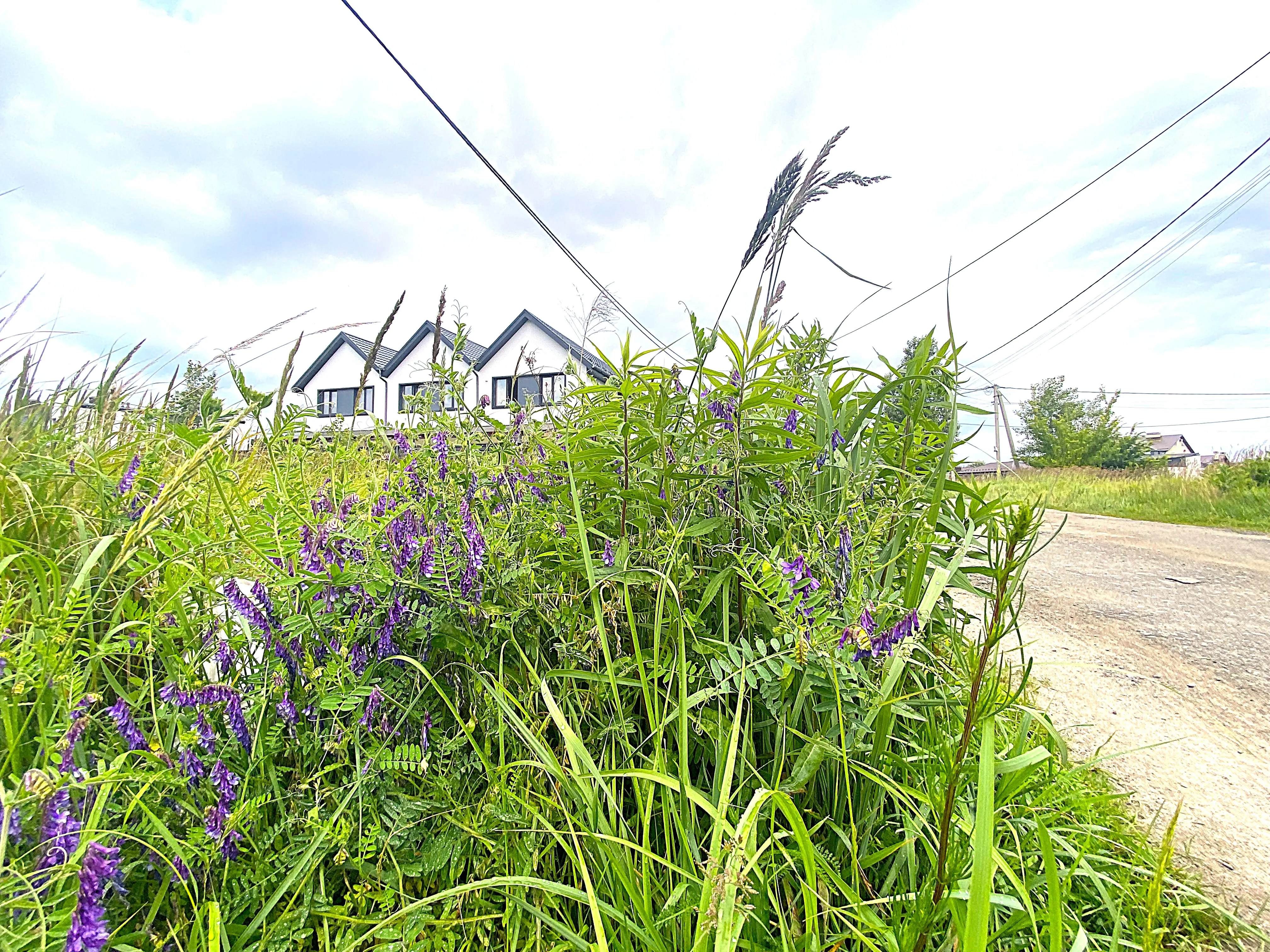 Фото Selling a land plot, Petropavlivska Borschahivka, price: 130000 $, code 1939