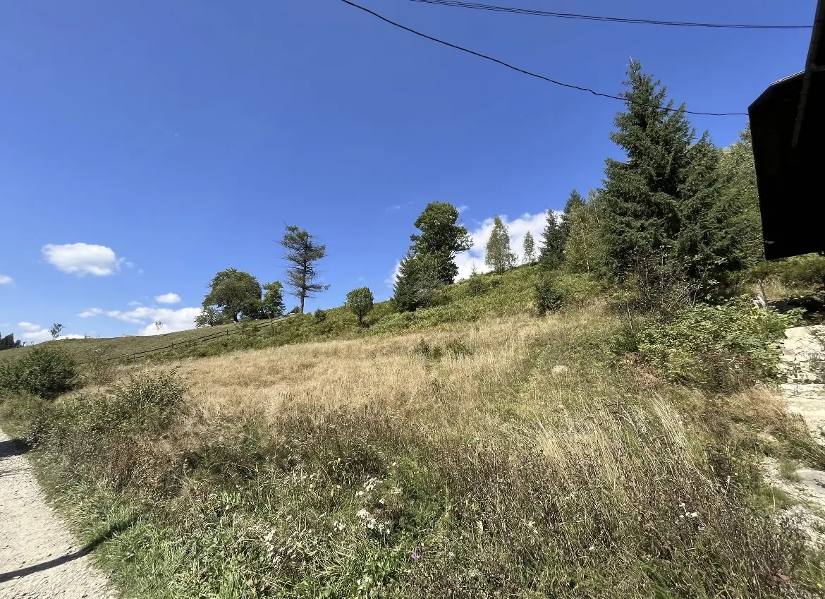 Фото Продаю земельну ділянку, Поляниця, ціна: 87000 $, код 1990