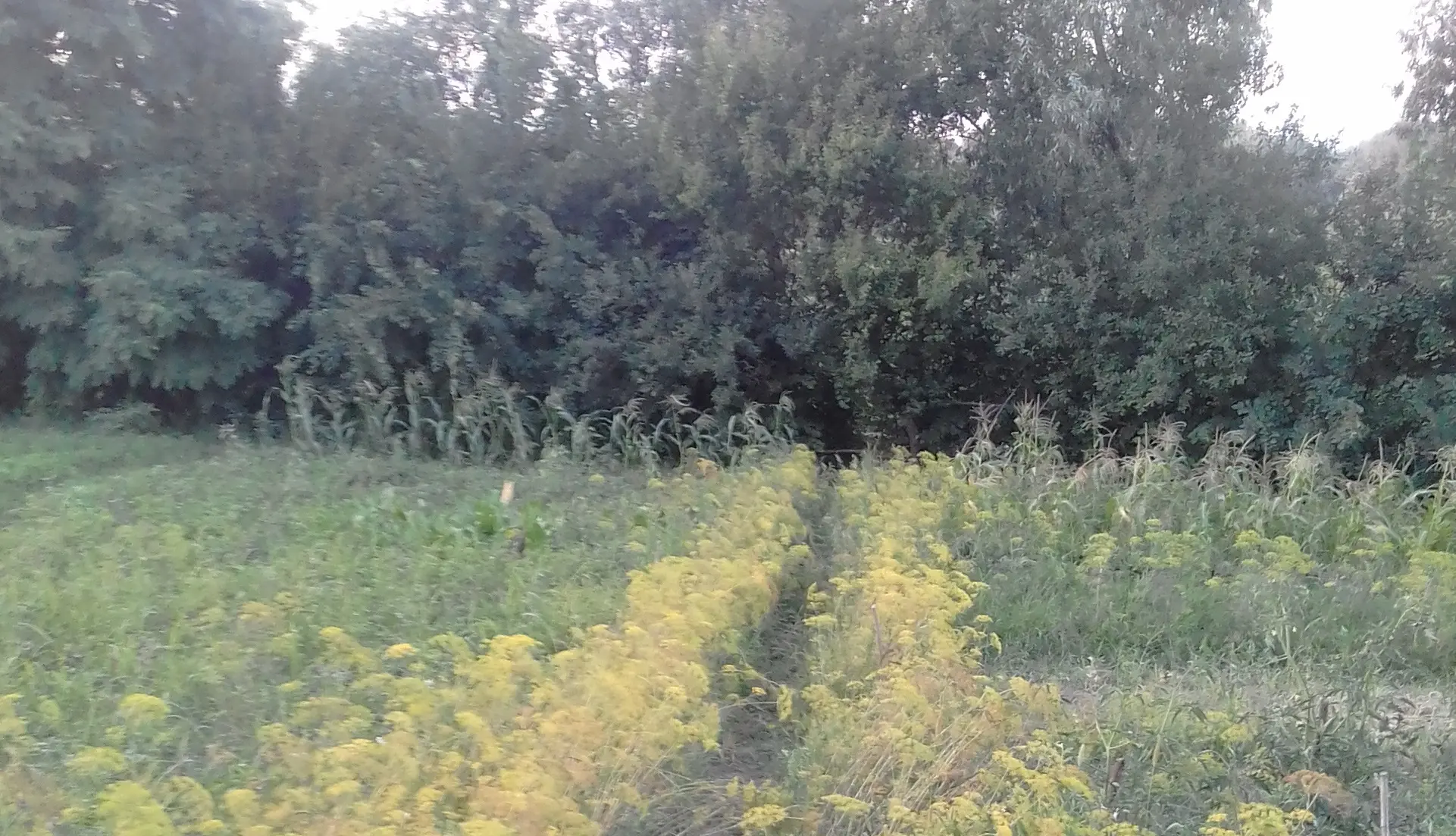 Фото Продаю будинок, 160 кв. м, Рокитне, ціна: 21000 $, код 2060