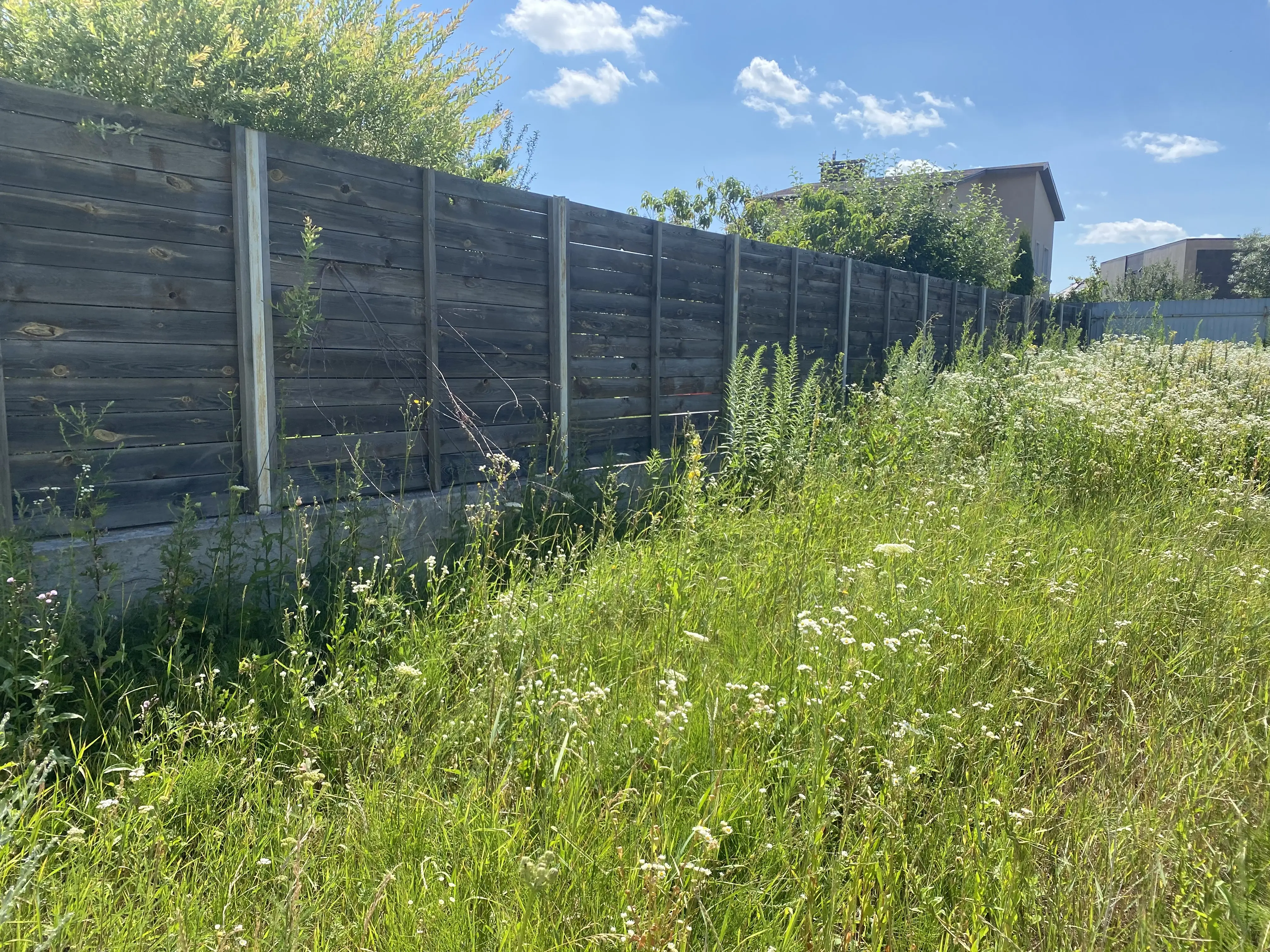 Фото Продаю земельну ділянку, Кошова вул.  Софіївська Борщагівка, ціна: 87900 $, код 2071