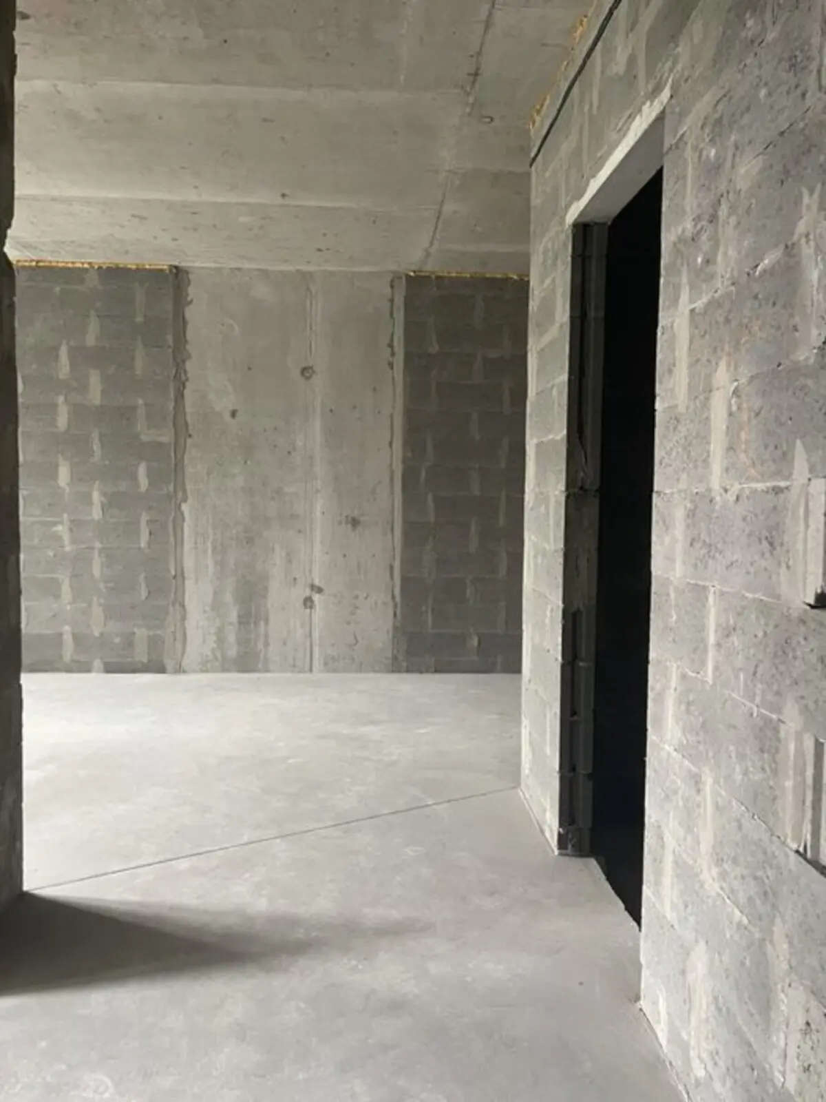 Фото Selling a 1-room apartment, 45 sq.m., Pravdy Avenue 49 Kyiv, price: 70000 $, code 2083