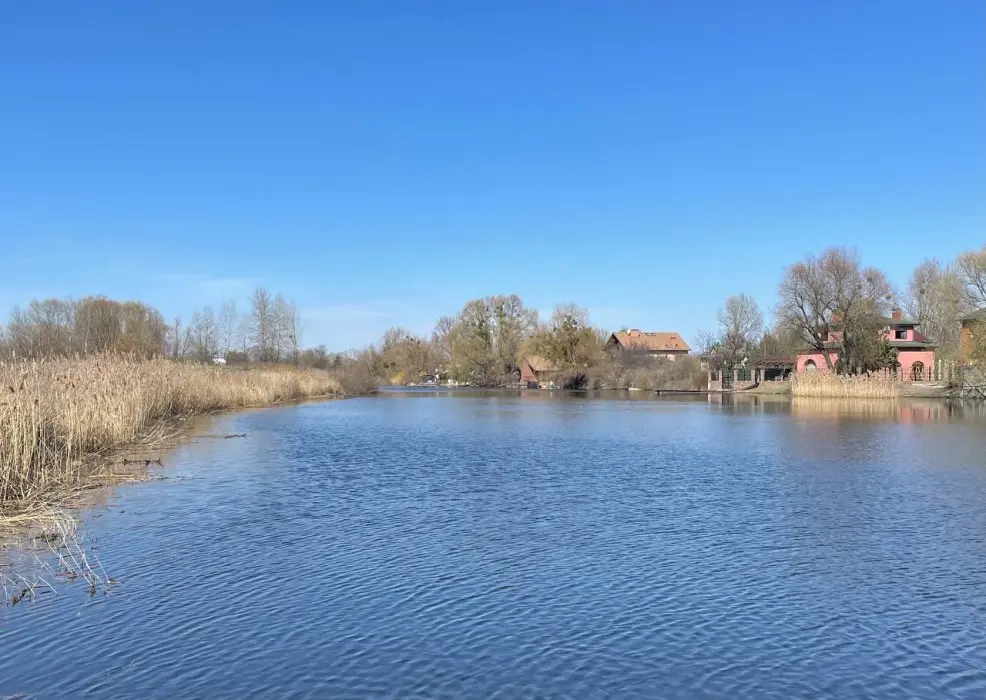 Фото Продаю будинок, 800 кв. м, Центральна вул.  Київ, ціна: 250000 $, код 2109