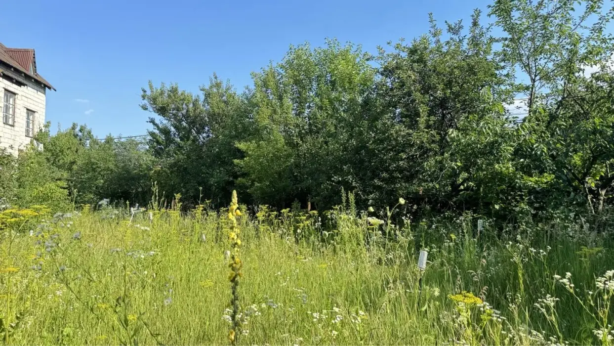 Фото Продаю будинок, 252 кв. м, Центральна вул.  Київ, ціна: 61000 $, код 2110