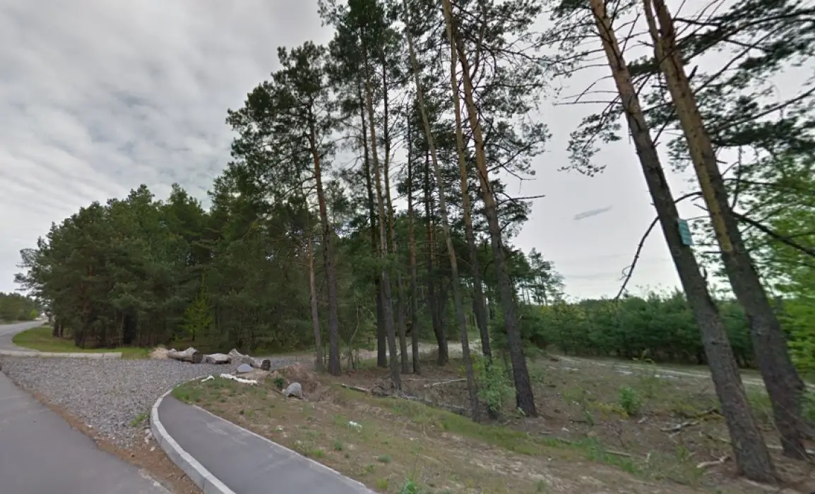 Фото Продаю земельный участок, Садовый пер.  Киев, цена: 55000 $, код 2128
