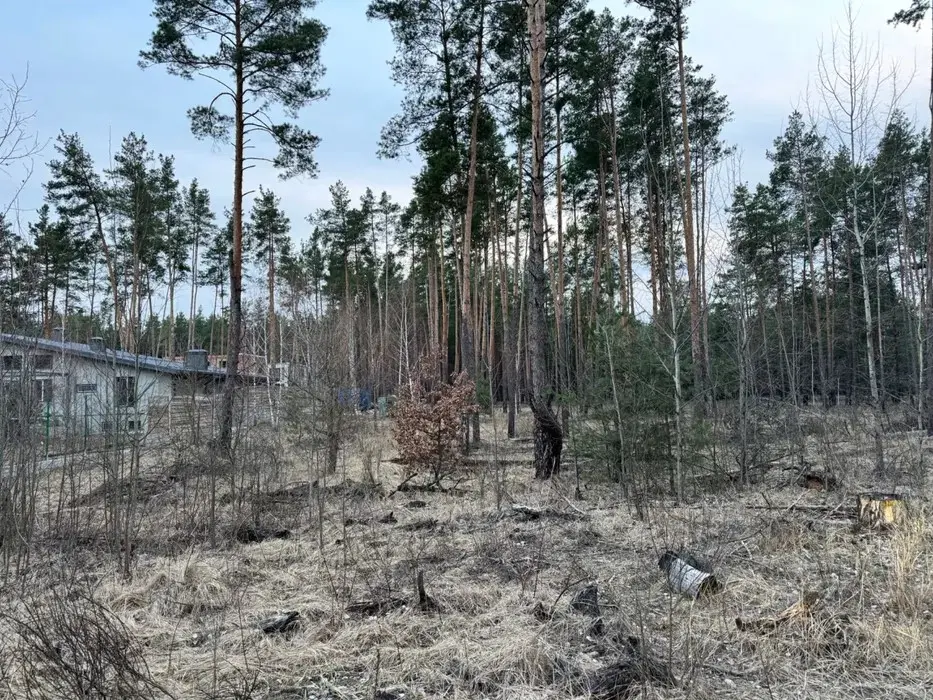 Фото Продаю земельный участок, Радистов ул.  Киев, цена: 45000 $, код 2129