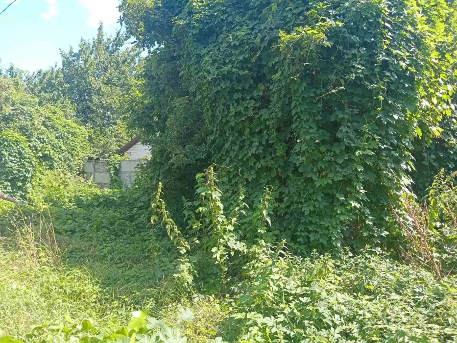 Фото Selling a land plot, 76th Sadova Street  Kyiv, price: 45000 $, code 2097