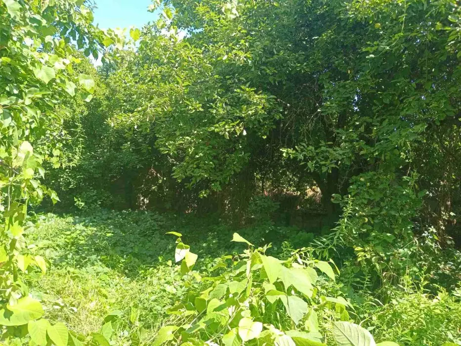 Фото Selling a land plot, 76th Sadova Street  Kyiv, price: 45000 $, code 2097