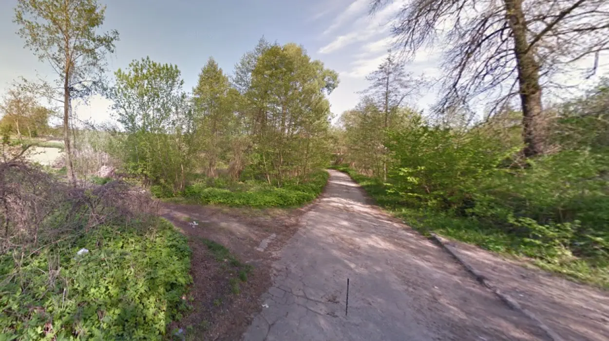 Фото Продаю земельный участок, Лауреатская ул.  Киев, цена: 70000 $, код 2159