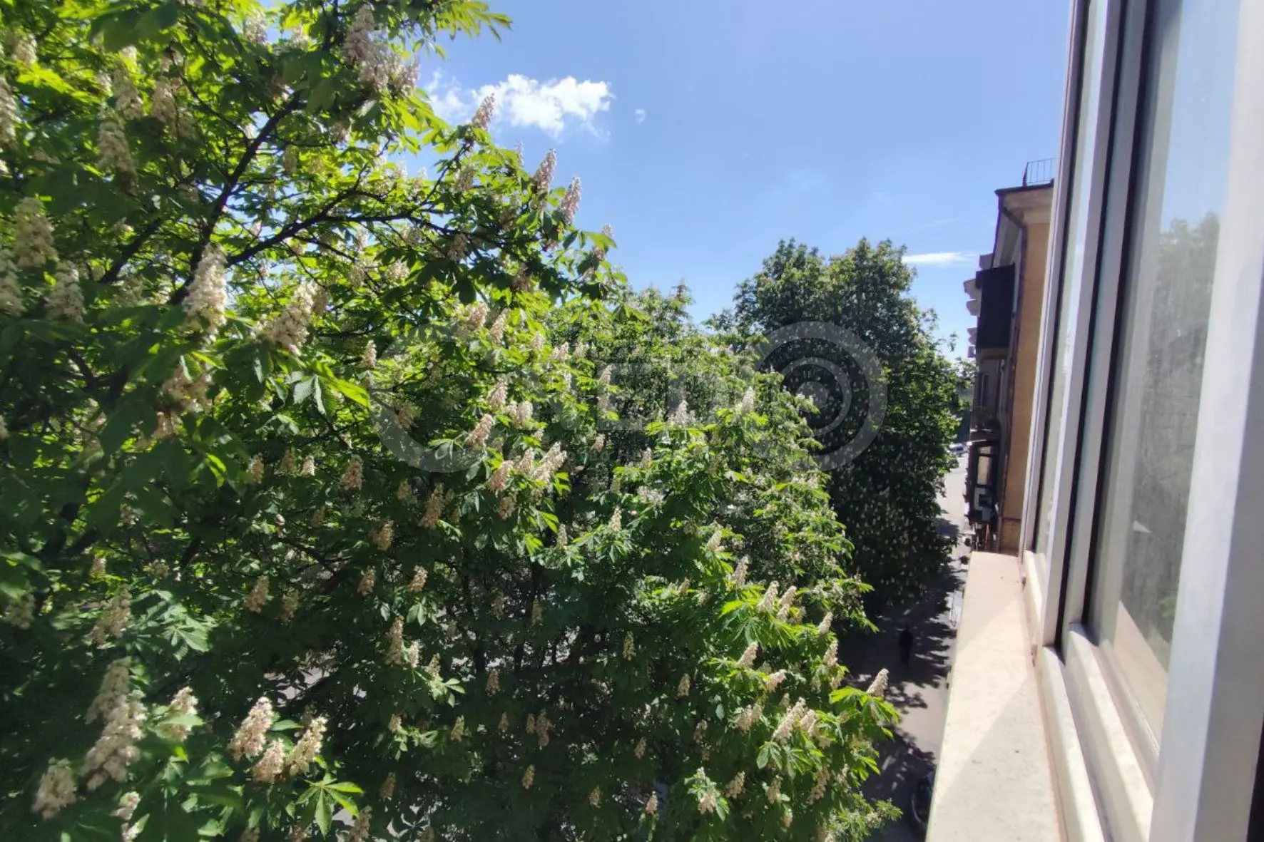 Фото Продаю 3-комнатную квартиру, 64.1 кв. м, Петра Калнышевского ул. (Харитонова)  Кривой Рог, цена: 29000 $, код 2201