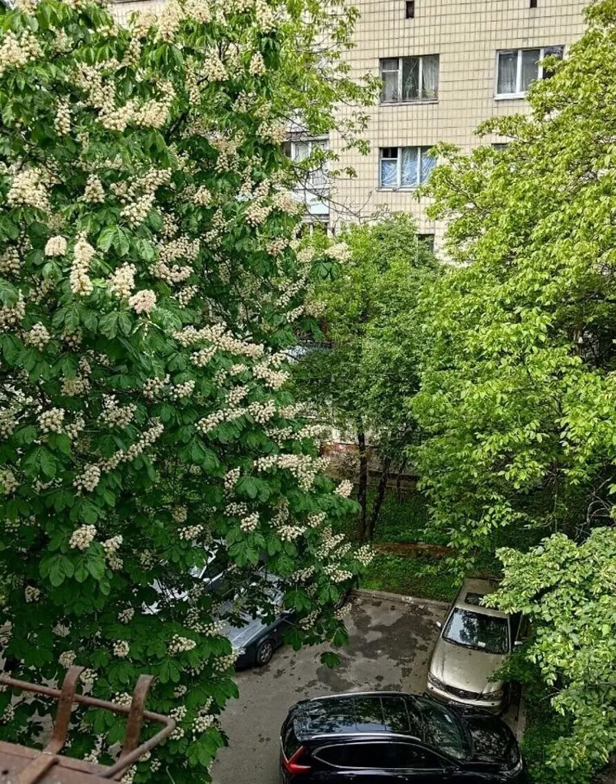 Фото Продаю 1-комнатную квартиру, 23 кв. м, Академика Глушкова просп. 24 Киев, цена: 33000 $, код 2237