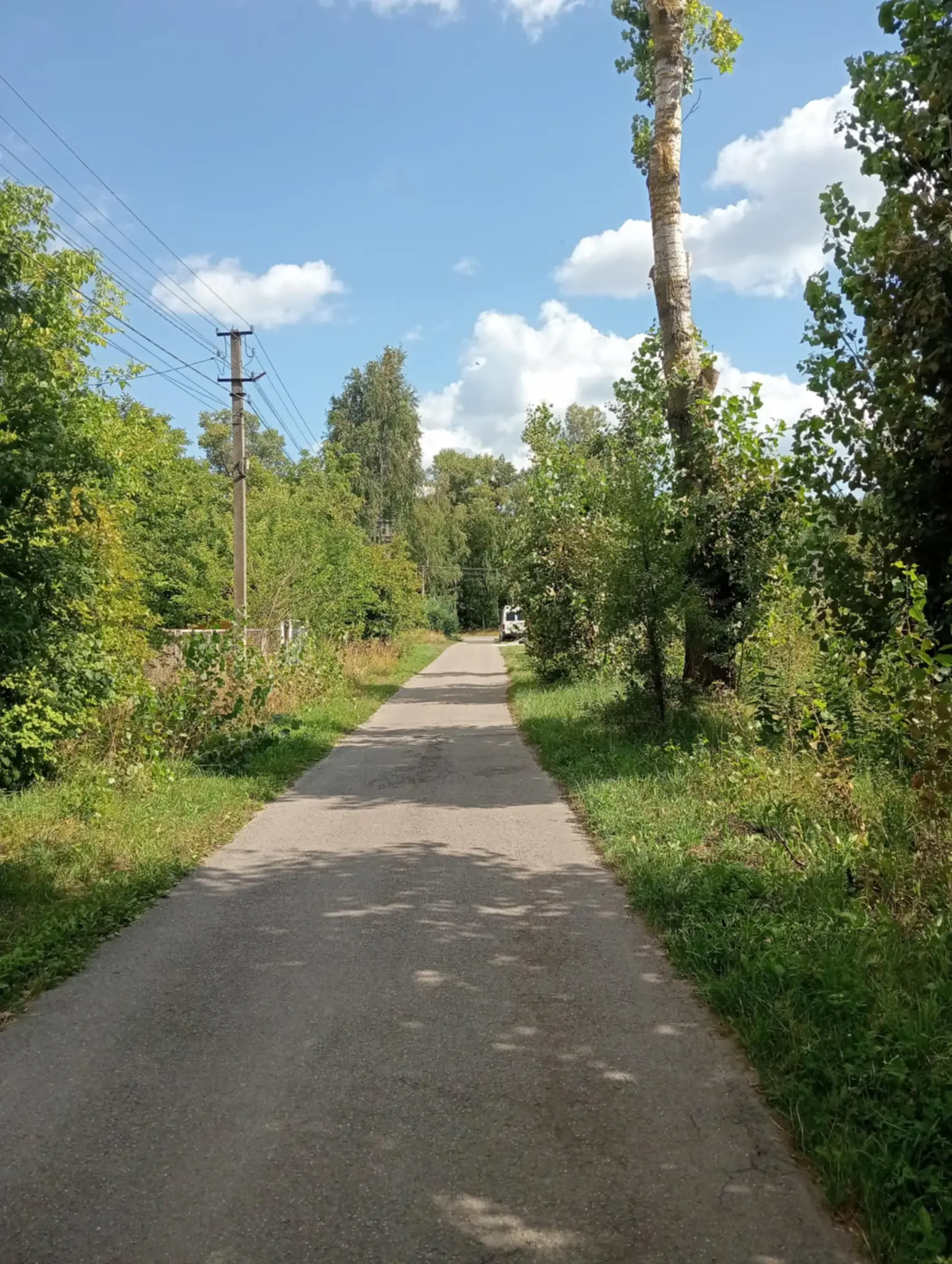 Фото Снять дом, Лесная ул.  Займище в долгосрочную аренду, цена: 50000 UAH, код 2400