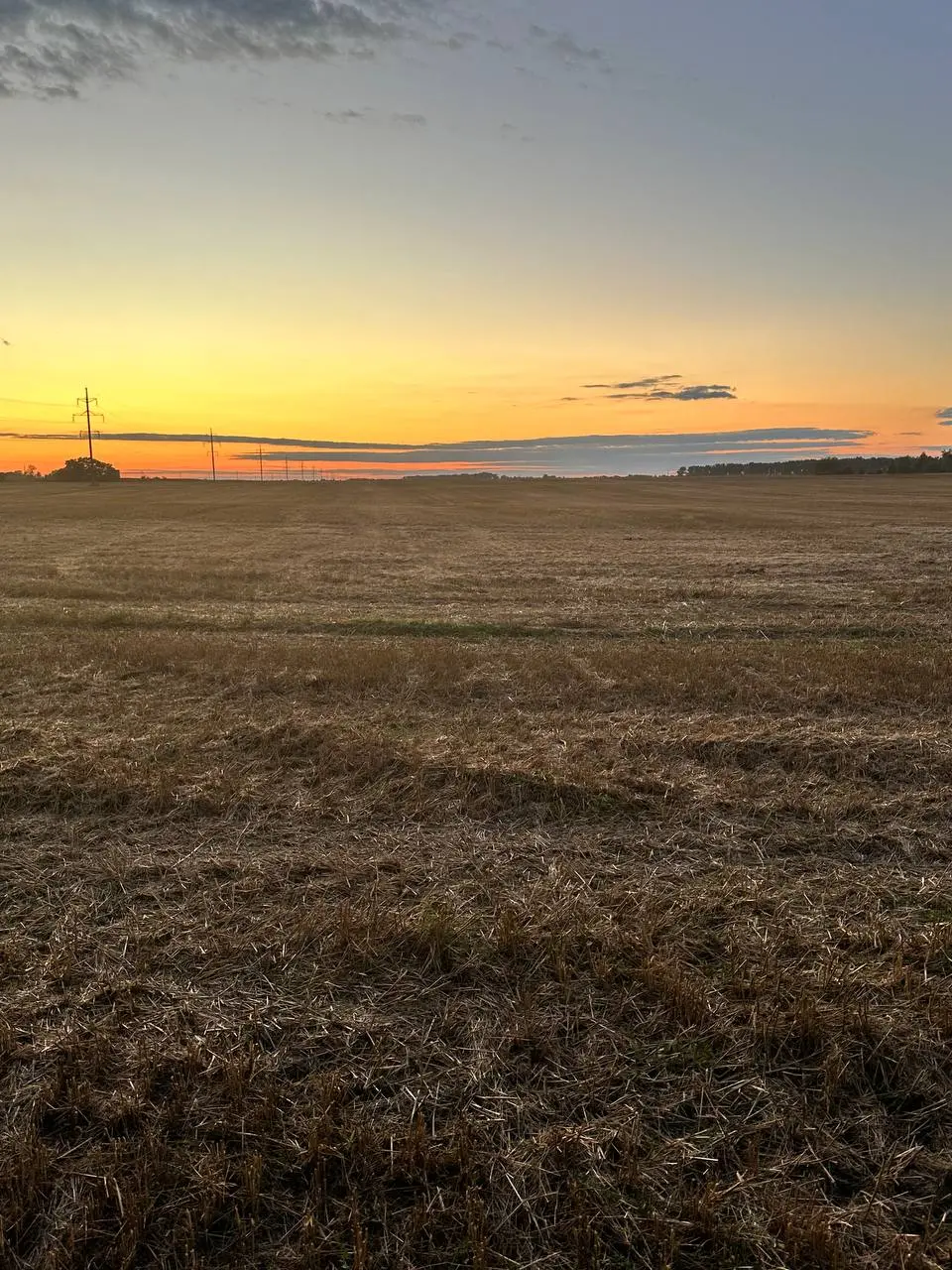 Фото Selling a land plot, Bucha, price: 2000000 UAH, code 2461