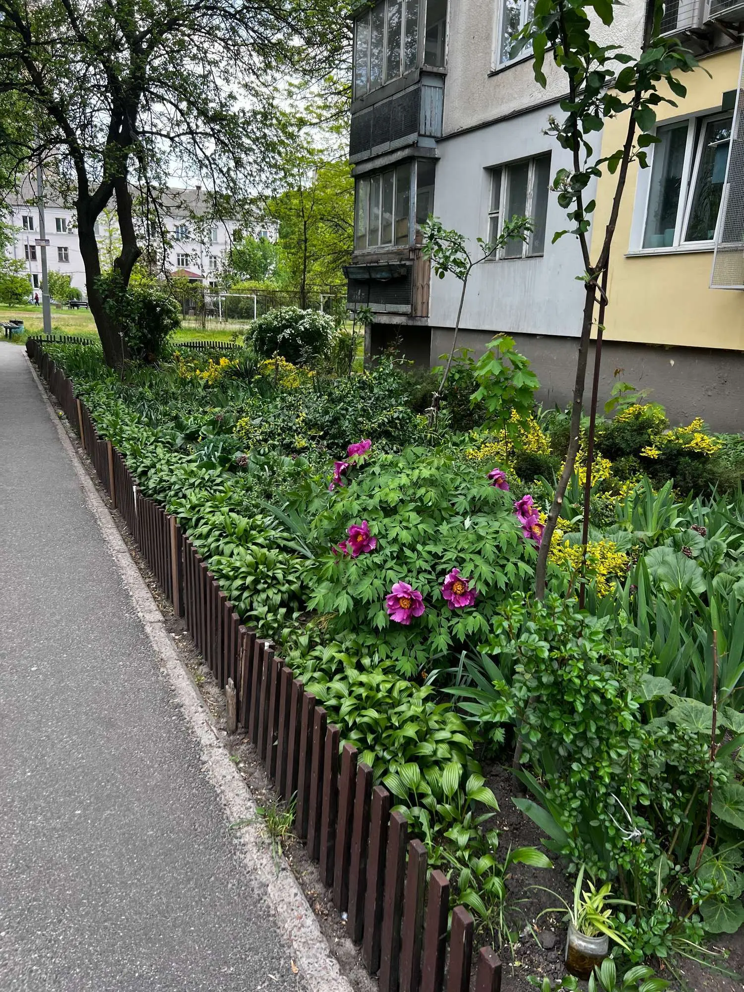 Фото Selling a 1-room apartment, 35 sq.m., Panteleimona Kulisha Street (Cheliabinska Street) 15 Kyiv, price: 50000 $, code 2479