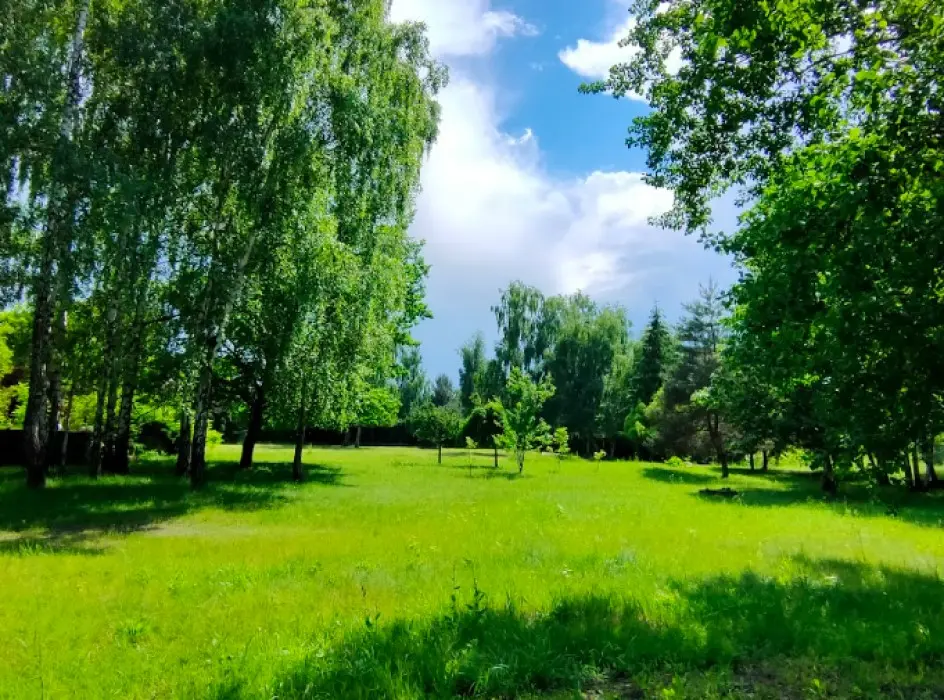Фото Продаю земельный участок, Центральная ул.  Киев, цена: 8000 $, код 2536