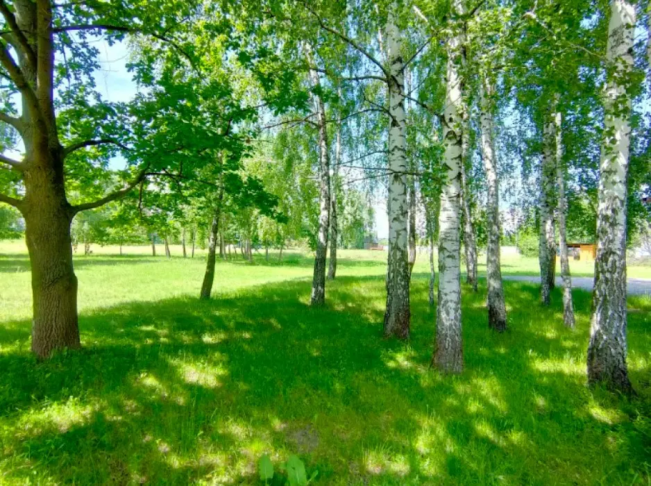 Фото Продаю земельный участок, Центральная ул.  Киев, цена: 8000 $, код 2536