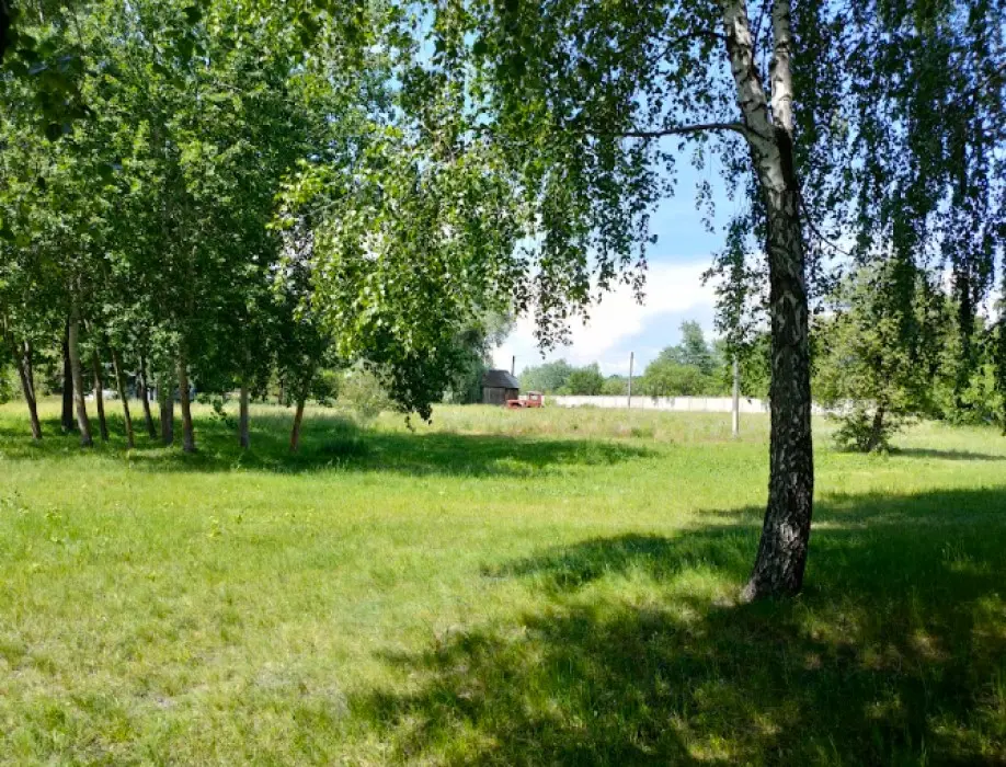 Фото Продаю земельный участок, Центральная ул.  Киев, цена: 8000 $, код 2536