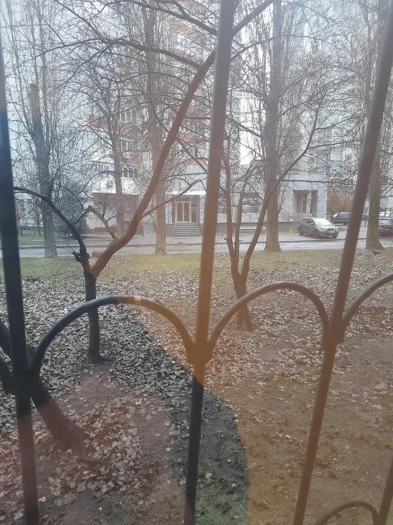Фото Продаю 2-комнатную квартиру, 65 кв. м, Вузовская ул. 4 Киев, цена: 75000 $, код 2548