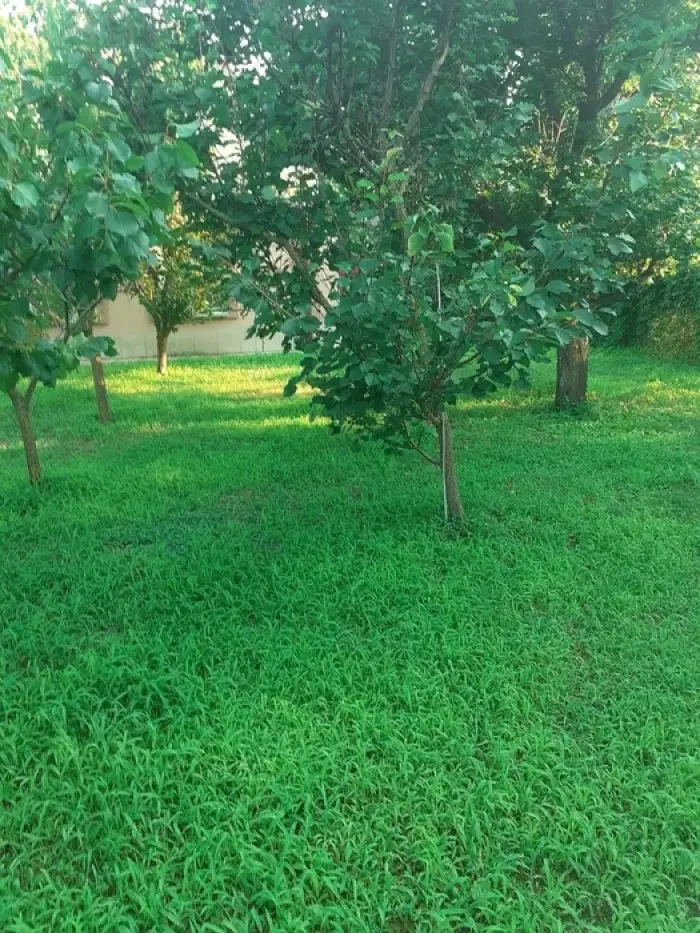 Фото Selling a land plot, 158th Sadova Street  Kyiv, price: 763200 $, code 2561