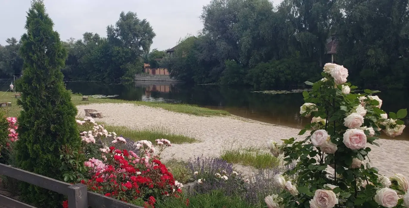 Фото Selling a land plot, 158th Sadova Street  Kyiv, price: 763200 $, code 2561