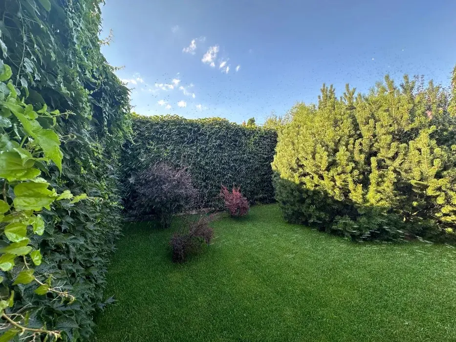 Фото Продаю дом, 151 кв. м, Центральная ул.  Киев, цена: 169000 $, код 2584