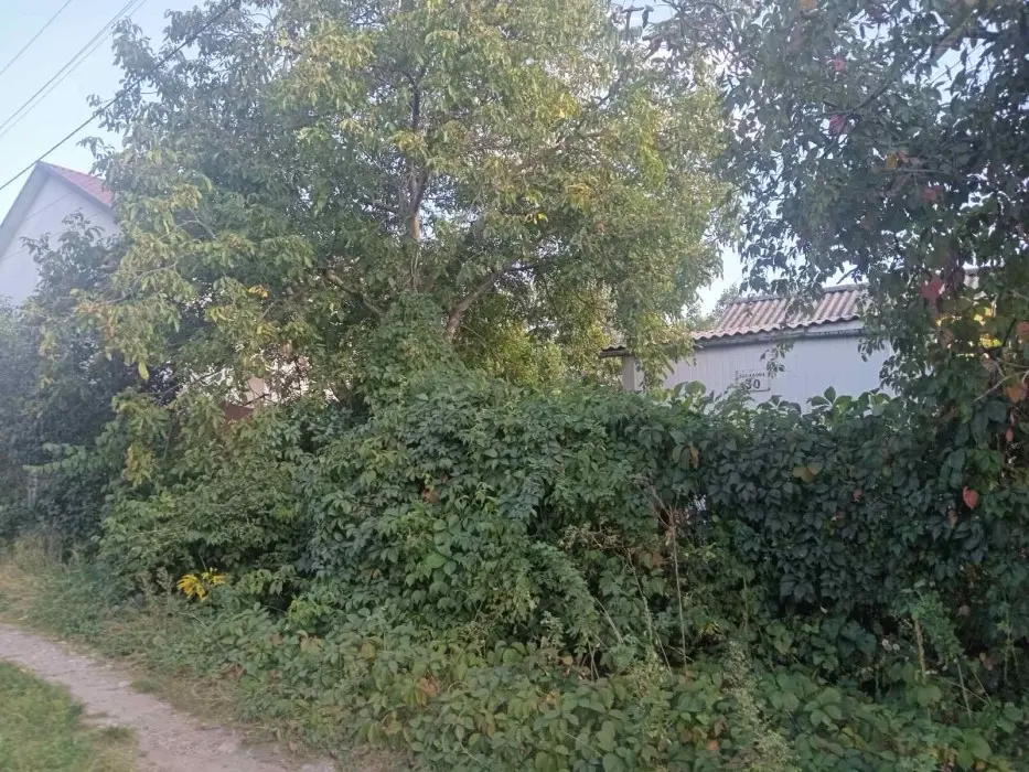 Фото Selling a land plot, 50th Sadova Street  Kyiv, price: 88000 $, code 2651