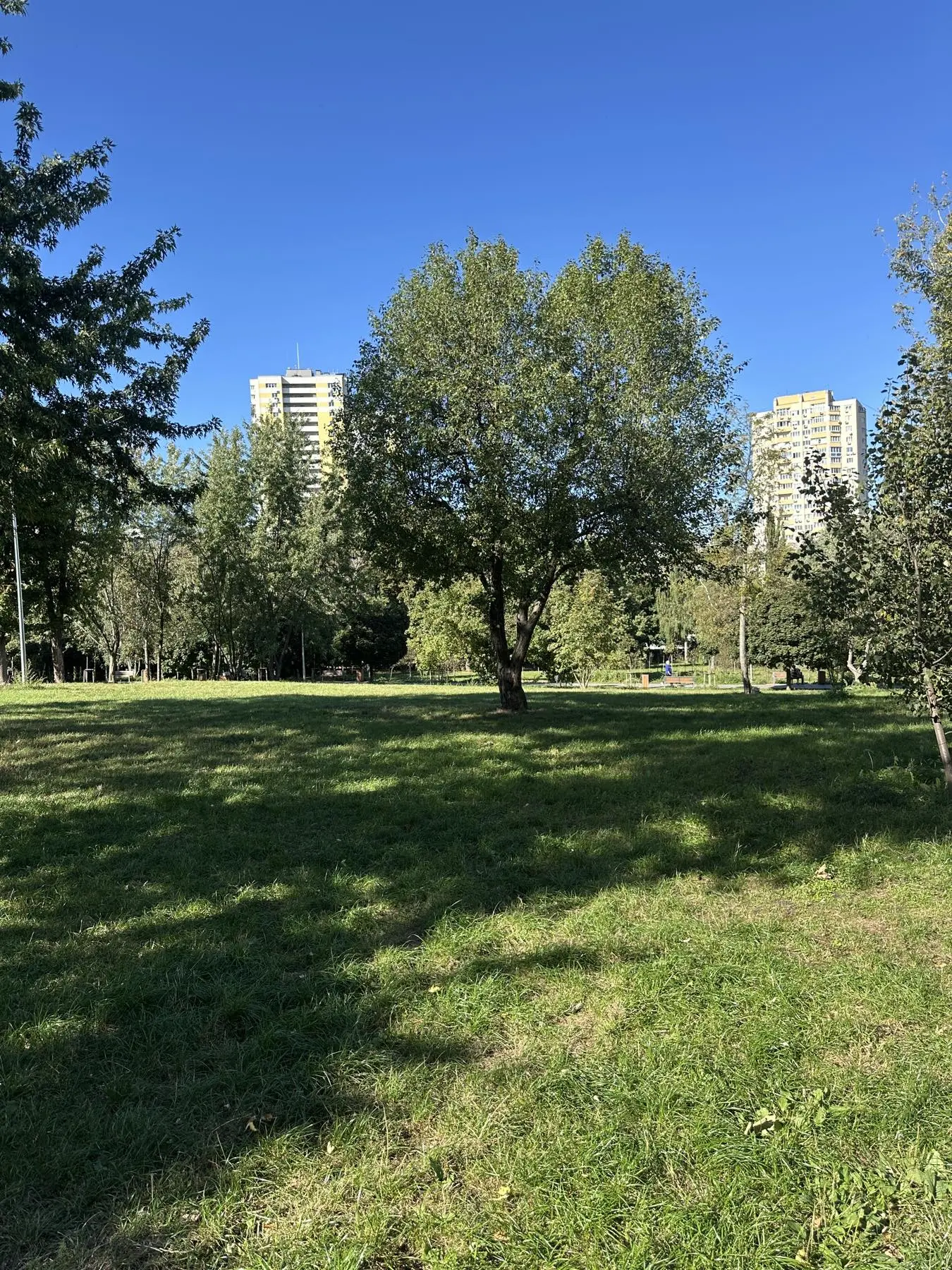 Фото Зняти 1 кімнатну квартиру, Гарматна вул.  Київ в довгострокову оренду, ціна: 20500 UAH, код 2686