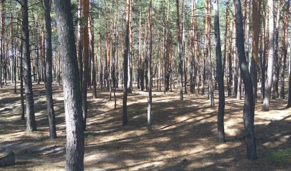 Фото Продаю земельный участок, Ходосівка, цена: 157000 $, код 2696